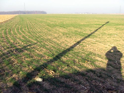 Property photo 12 - 60 Acres Offered in 2 Tracts